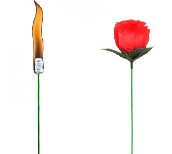 Kouzelnický trik s růží