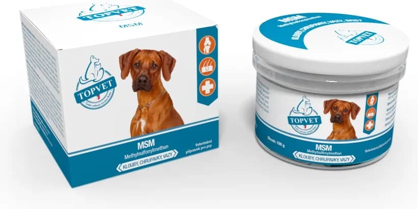 Green idea MSM pro psy 100 g