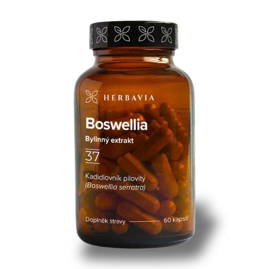 Boswellia