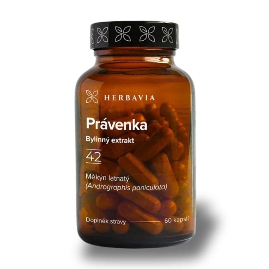 Právenka